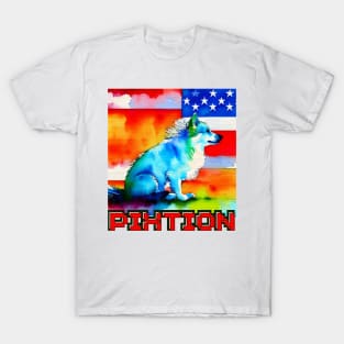 America T-Shirt